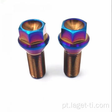 Parafusos de parafuso de titânio de anodização